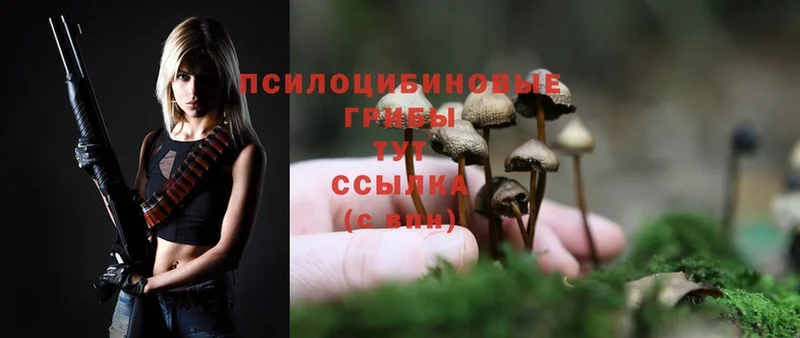 Галлюциногенные грибы Magic Shrooms  Сорск 